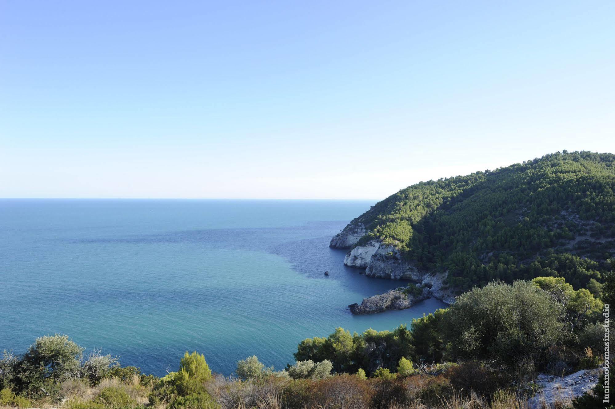 Pugnochiuso Resort - Hotel Del Faro Bagian luar foto